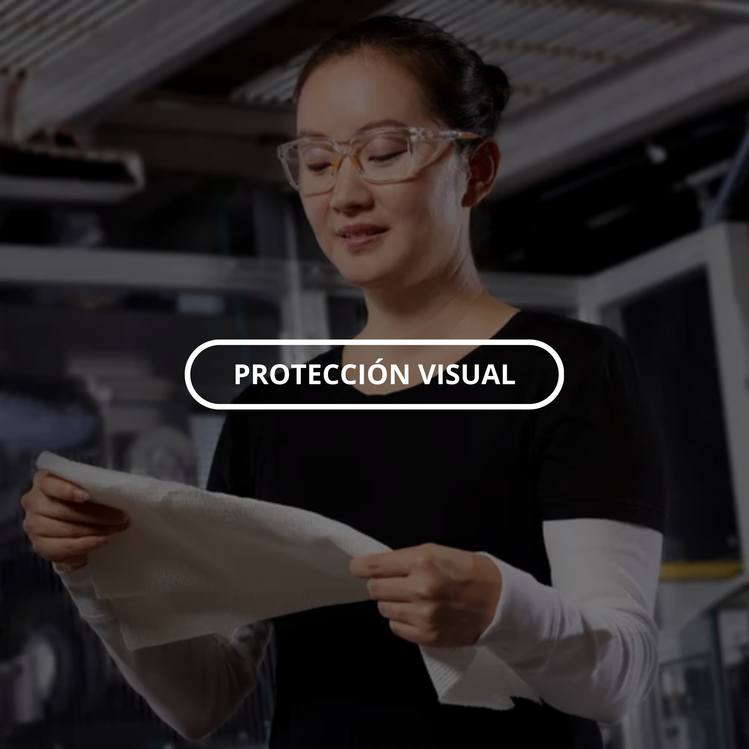 Inicio protección visual